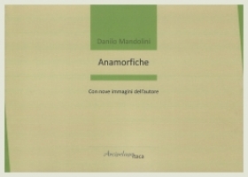 Danilo Mandolini - Anamorfiche